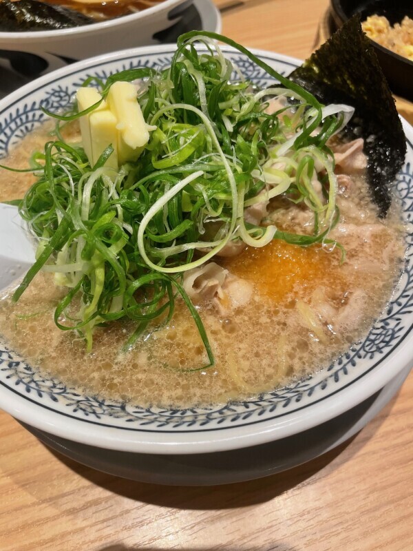 今日の格言