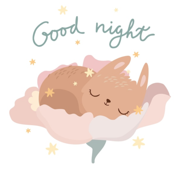 Good night🌙