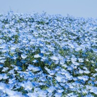 ゴールデンウィーク最終日☔
