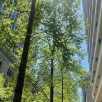 施術をされる側