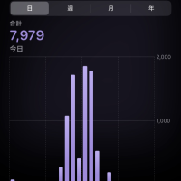 お休みでした