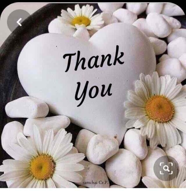 ட౦౮౿ෆட౦౮౿
