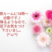 嵐🌀🌬️🍃