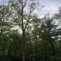 リフレッシュ。