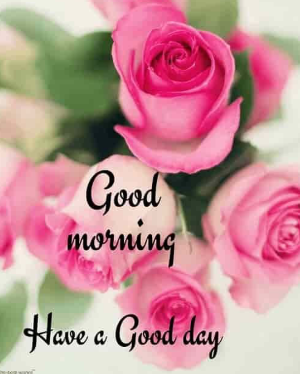 Good morning☀️