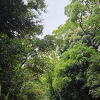結城