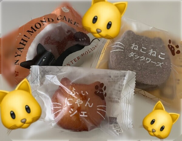 ねこねこ