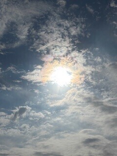 おはようサン🌞