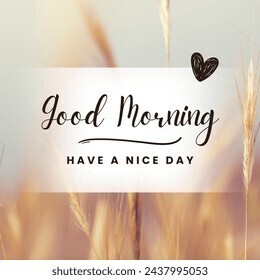 おはようございます☀️🌱