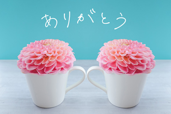 今週もありがとう☺️