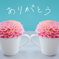 椎名