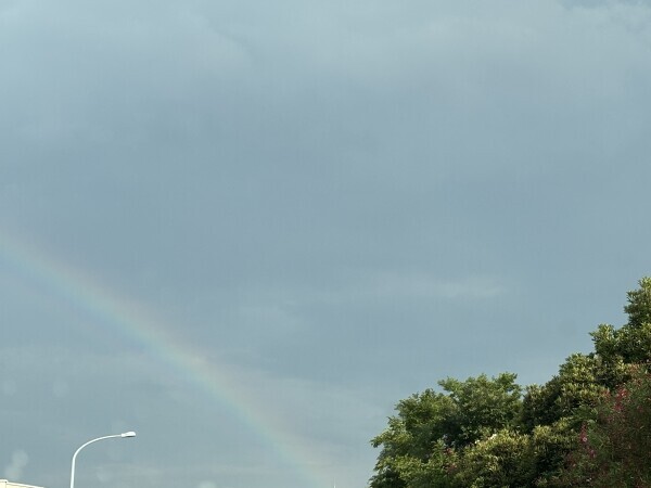 見えてますか🌈？