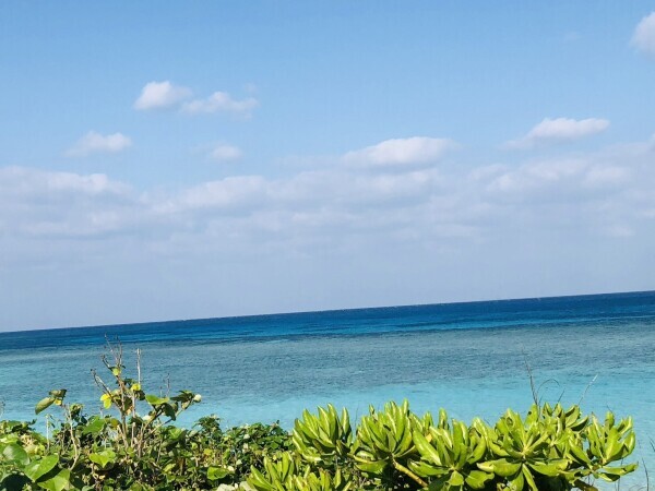 Enjoy summer 🏝️