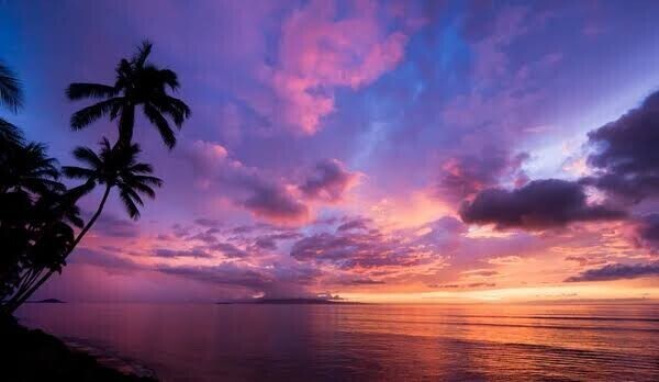 夏を楽しみましょ🌺🌴