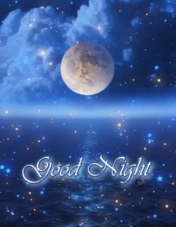 こんばんは🌙