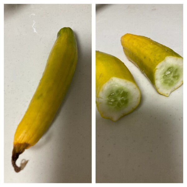 こんばんは