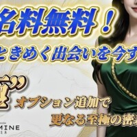 スタッフ　シヴァ