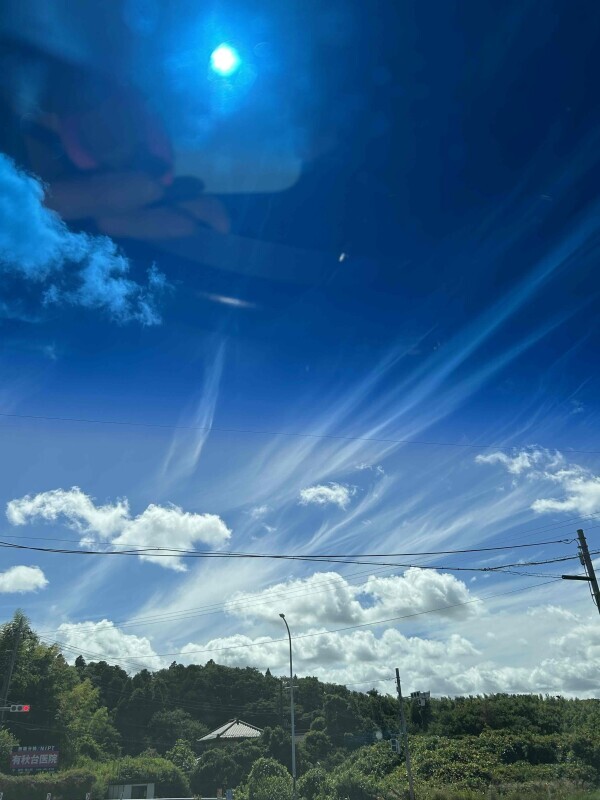 こんにちは☀️