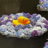 おはようございます♪