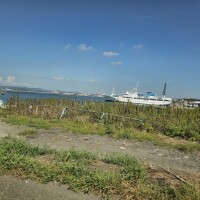 坂井