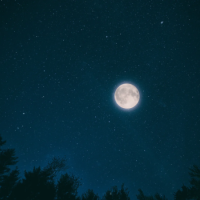 おやすみなさい🌙