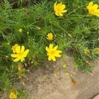 涼しいけど暑いよ