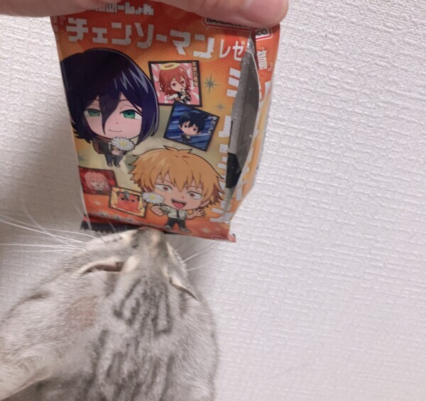 こんばんは