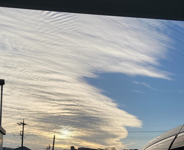 こんばんは