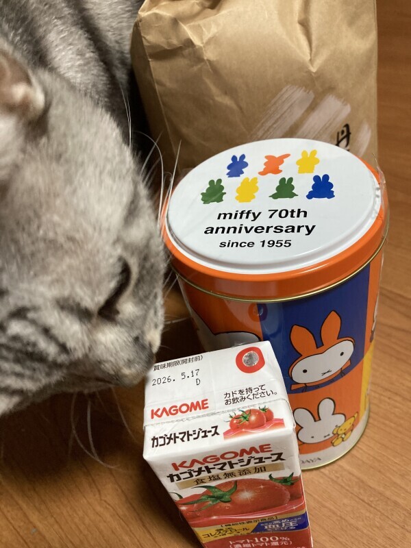 こんばんは