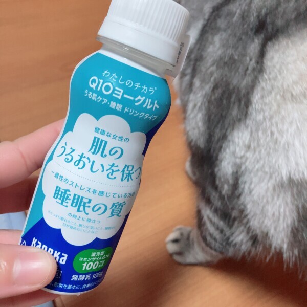 こんばんは