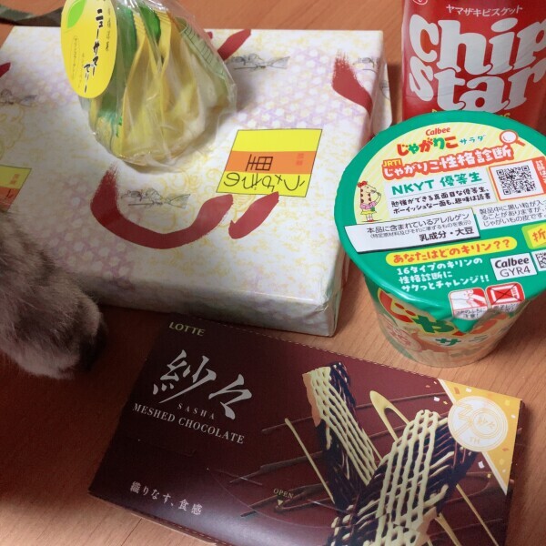こんばんは