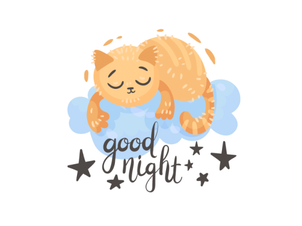 今日もありがとう💫