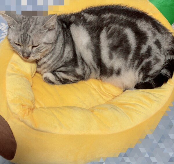 こんばんは