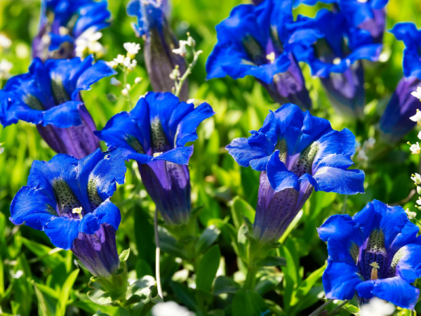 お疲れさまです😊