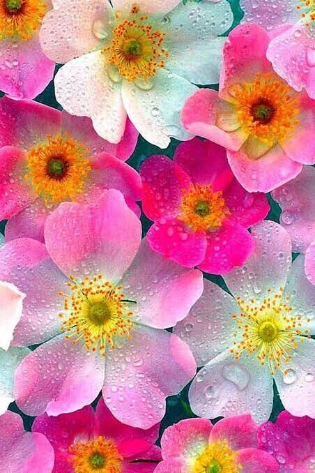 おはようございます☀️