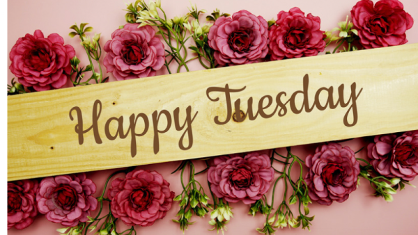 本日市原ルームです(˘︶˘).｡.:*♡