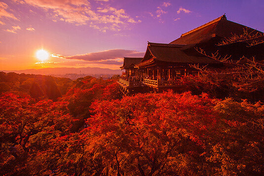 お疲れ様です！