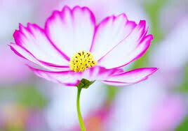 おはようございます☺