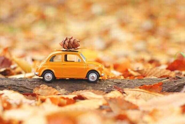 おはようございます☀️