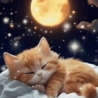 ありがとう❣️