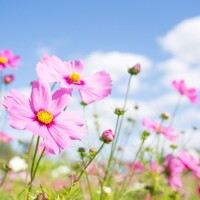 おはようございます🥺