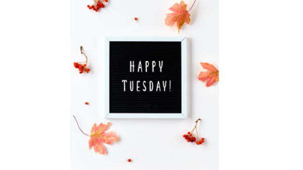 お疲れさまです😊