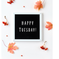 お疲れさまです😊