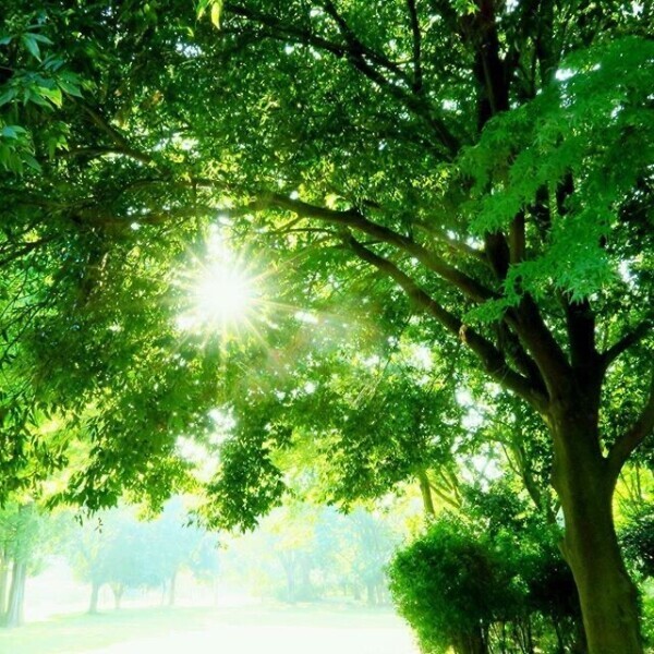 おはようございます