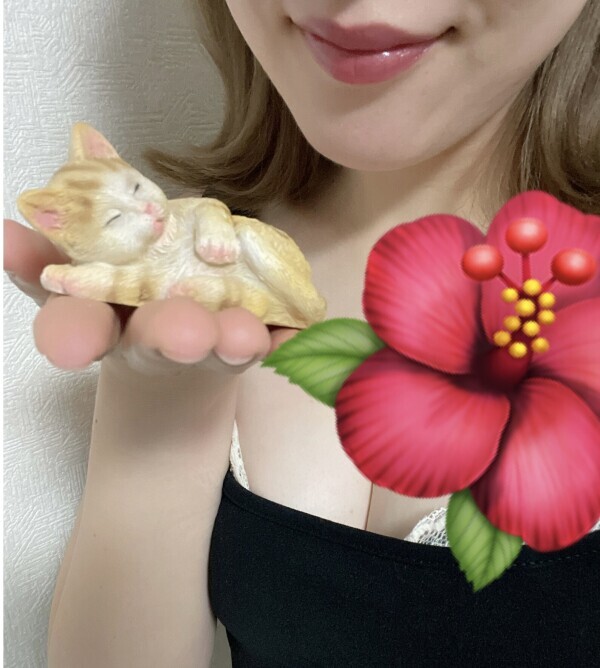 ありがとうございました🕊️