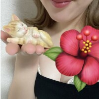 ありがとうございました🕊️