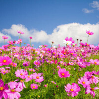 ラスト枠🈳ありです