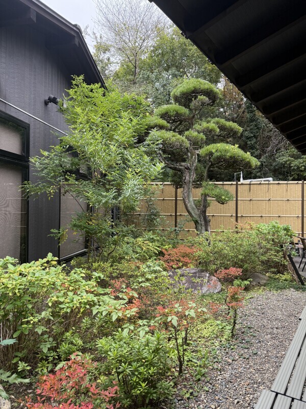 人肌が恋しくないですか？