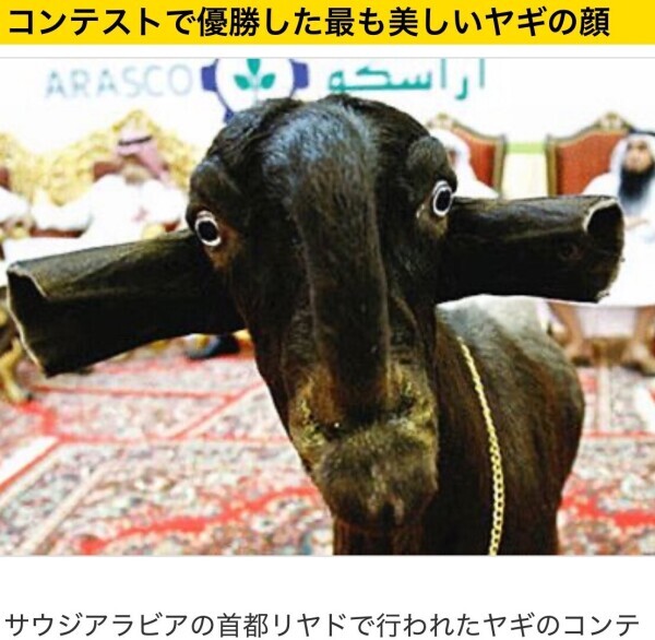 本日千葉ルームですー🕺