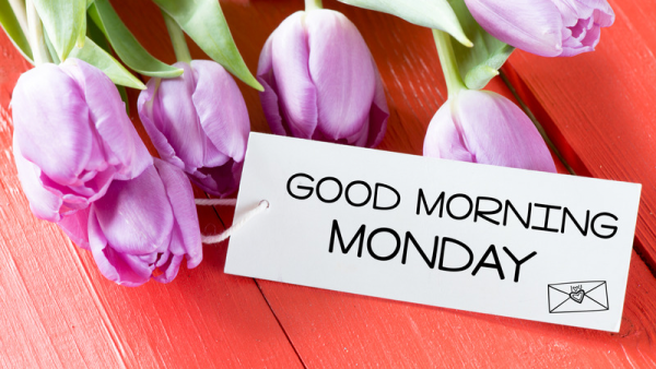 おはようございます☀